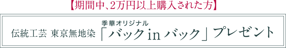 伝統工芸 東京無地染 「バック in バック」プレゼント